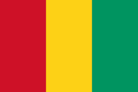 几内亚BESC/ECTN电子货物跟踪单