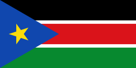 南苏丹BESC/ECTN电子货物跟踪单